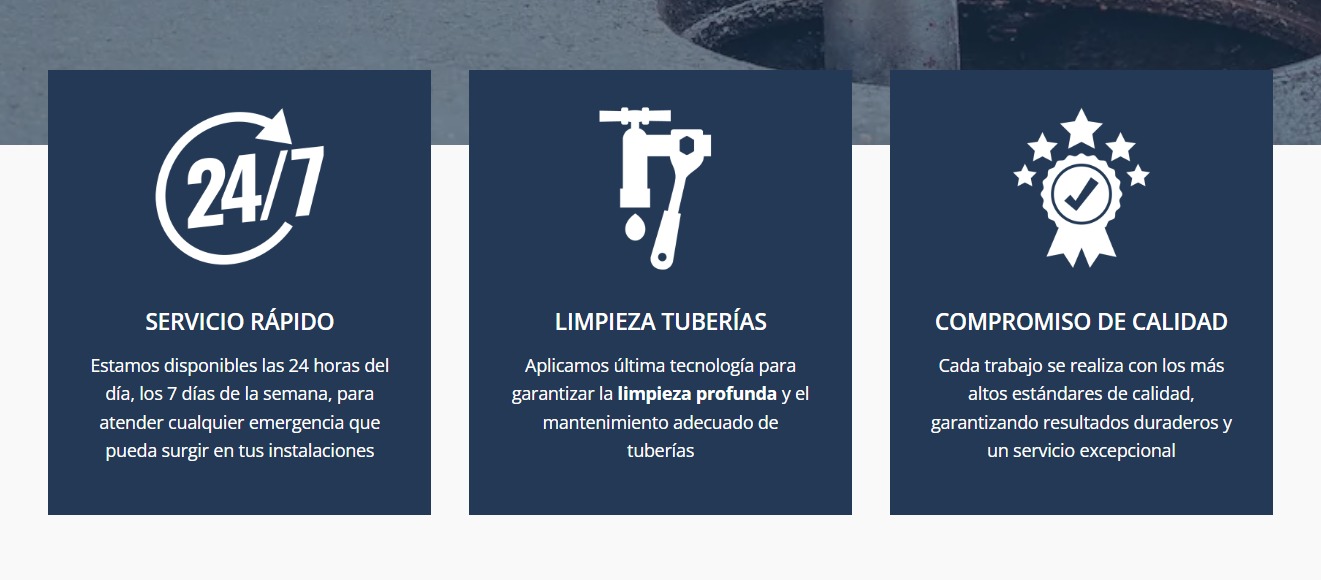 Desatascos Valencia La Fallera Desatascos Valencia La Fallera