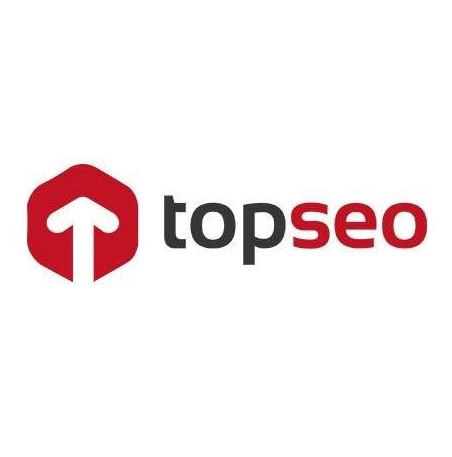 top seo top seo